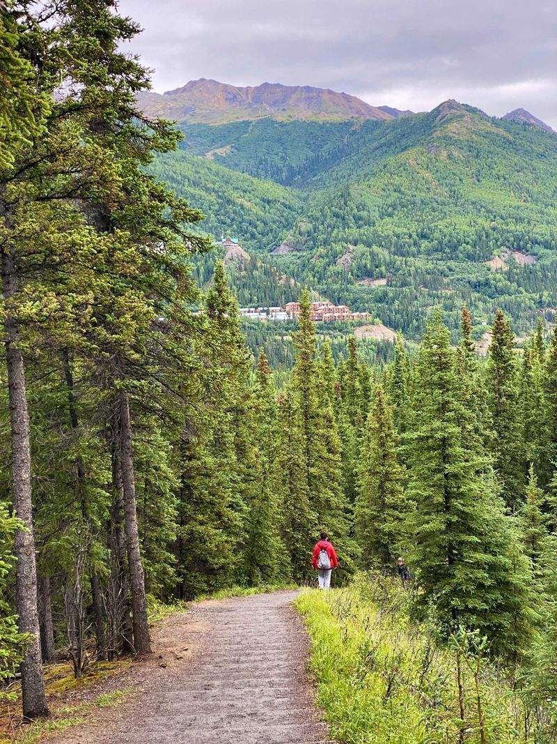 Harbour Peak Hiking Co. 10