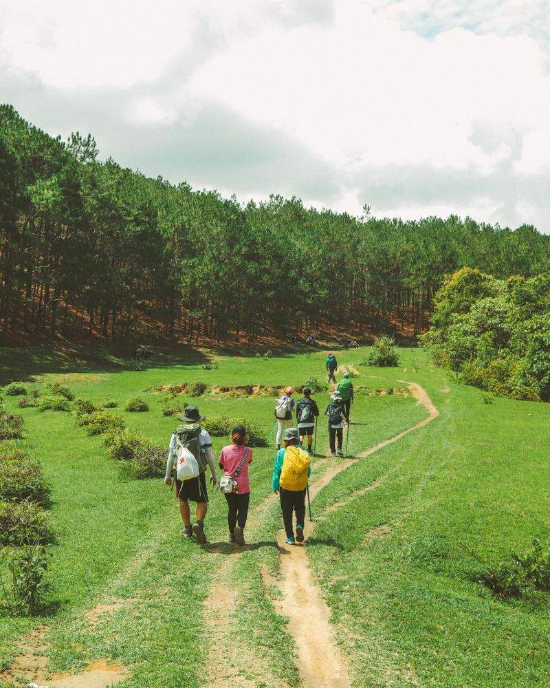 Harbour Peak Hiking Co. 9