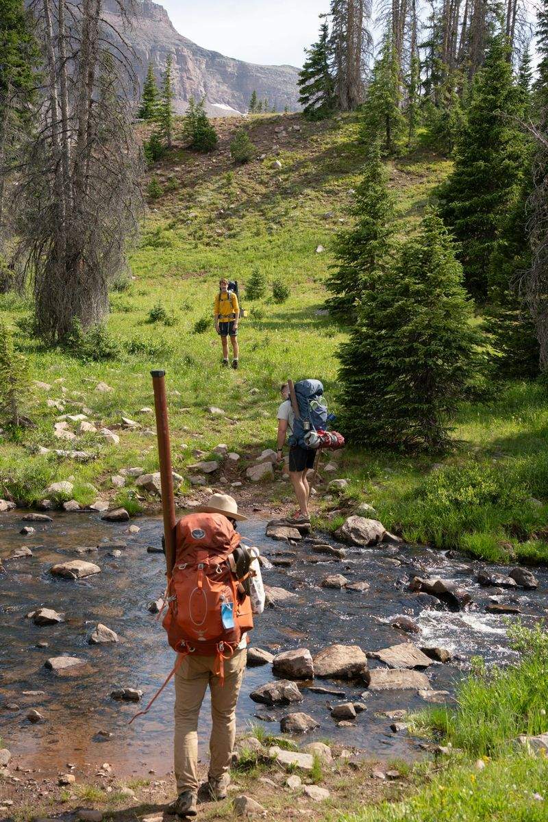 Corporate team-building hikes
