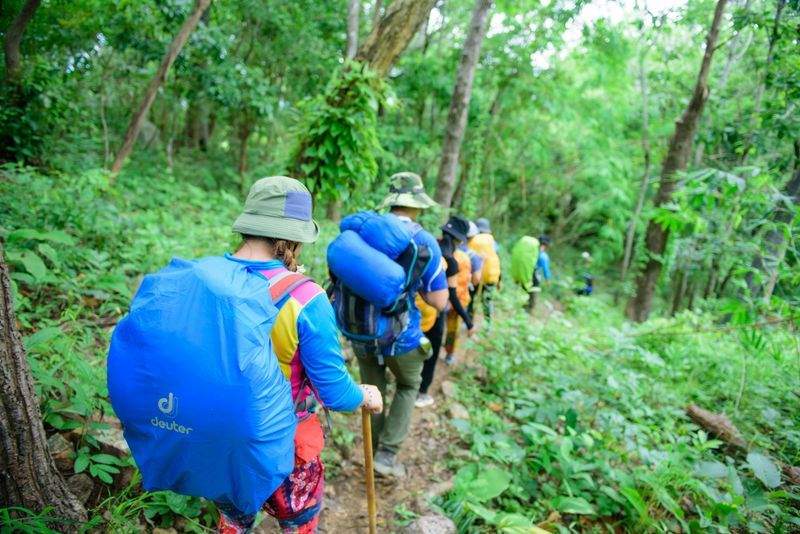 Family-friendly nature walks